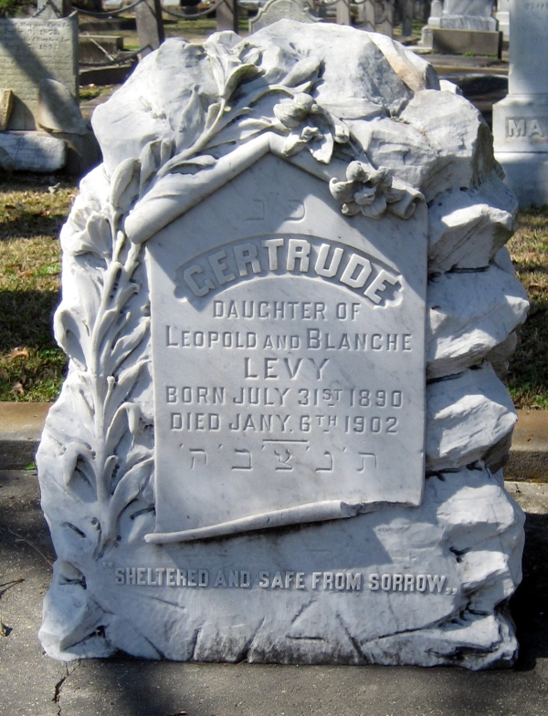 Pictures by Martin Gauthier